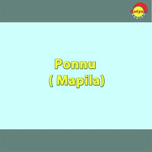 Aattakani Beevi by Saleem, Salim, Saleem, Sujatha Mohan, Chorus - Download on PagalFree