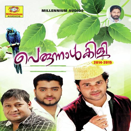 Maniyarayil by Shafi Kollam, Shyamna, Shyamna, Anas Alappy, Afid, Fathima, Afsal Bilal, Noorsha, Asif Kappad, Giree - Download on PagalFree