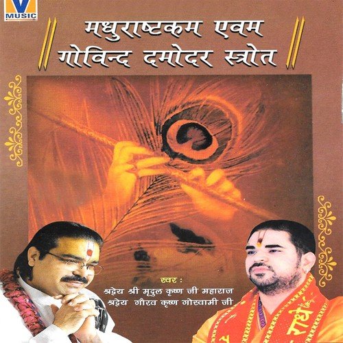 Aarti-Lakshmi Mata Ki by Shradheya Mridul Krishan Goswami Ji, Shradheya Gaurav Krishan Goswami Ji - Download on PagalFree