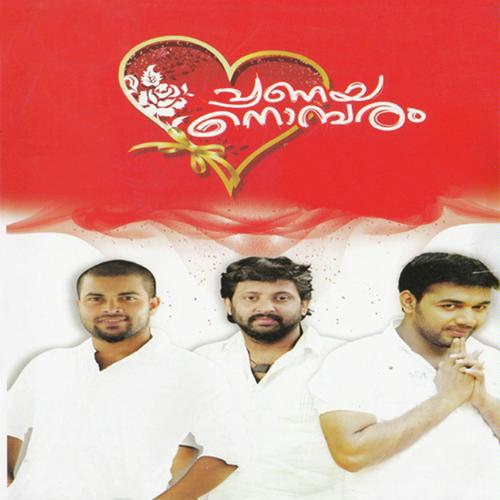 Nila Manjal by Sakeer Aluva, Shafi Kollam, Sakeer Aluva, Saleem Kodathoor, Manu Mahesh - Download on PagalFree