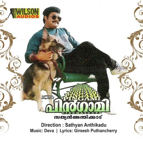 Themmadikkatte by Johnson - Download on PagalFree