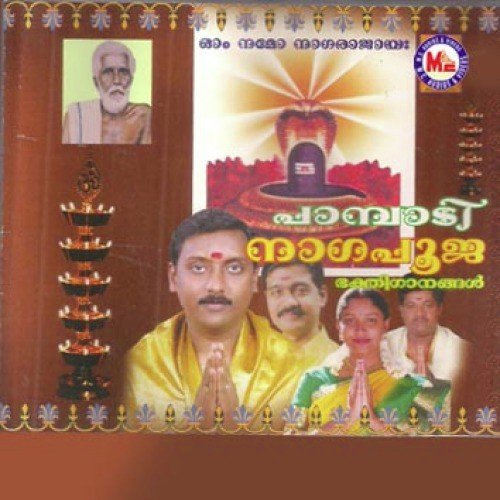 Nagaraja Pahimam by Various Artists - Download on PagalFree