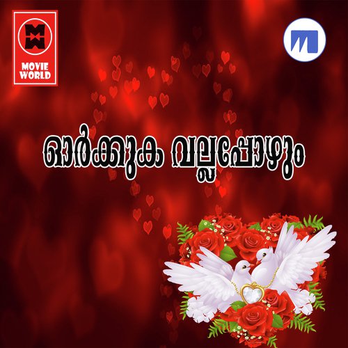 Mizhineer Poovinte by Salim Koodathoor - Download on PagalFree