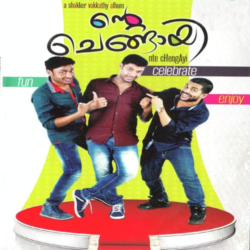 En Nenjil by Saleem Kodathoor, Shafi Kollam, Saleem Kodathoor, Aiswa Sherin, Vidhu Prathap, Manaf Ali, Manu Mahes - Download on PagalFree