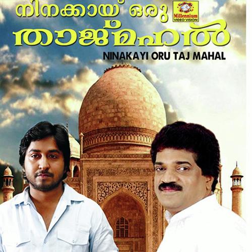 Meyyil by Majeed Nilamboor - Download on PagalFree