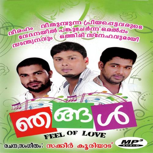 Pennu by Saleem Kodathoor, Sakeer Kooriyadu, Sakeer Kooriyadu, Shafi - Download on PagalFree