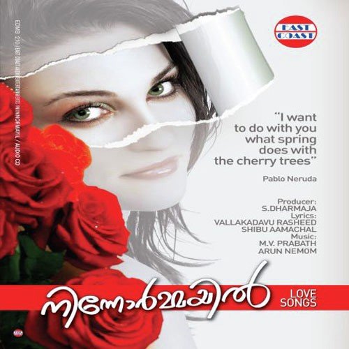 Ninnormayil by Joymoon - Download on PagalFree