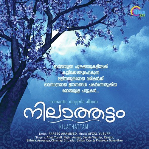 Nilavinte by Afzal Yusuff - Download on PagalFree