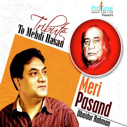 Tu Husneki Debi Hain by Obaidur Rahman - Download on PagalFree