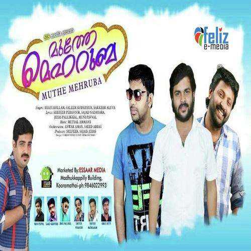 Nilaavil by Shafi Kollam, Sakkeer Aluva, Sakkeer Aluva, Saleem Kodathoor, Thajudheen Vatakara, Mufsil Ammans, Na - Download on PagalFree