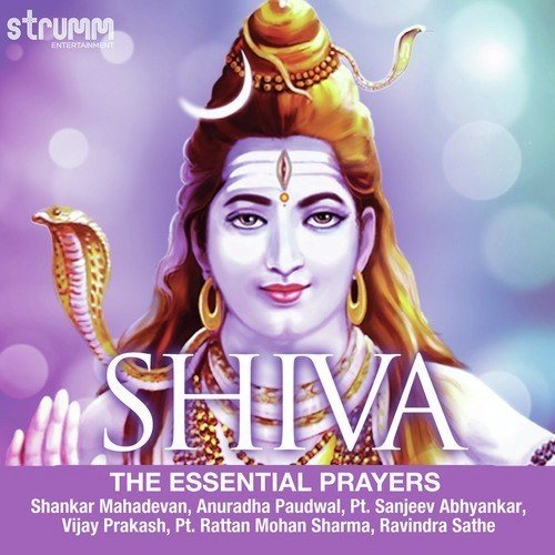 Har Har Mahadev by Anup Jalota, Sadhana Sargam, Dinesh Kumar Dube - Download on PagalFree