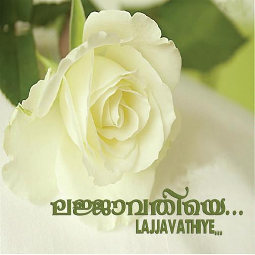 Koottu Pirinhu by Sindhu, Muhammed Muneer, Muhammed Muneer, Radikaa Sarathkumar, Nisar, Ansar - Download on PagalFree