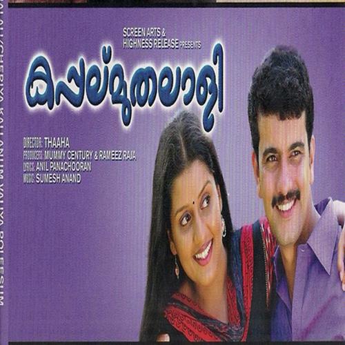 Rajappa by Afsal, Anupama Vijay, Anupama Vijay, Pradeep Babu, Rimi Tomi - Download on PagalFree