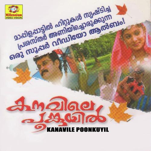 Snehathin theerathu by Anwar Sadath - Download on PagalFree