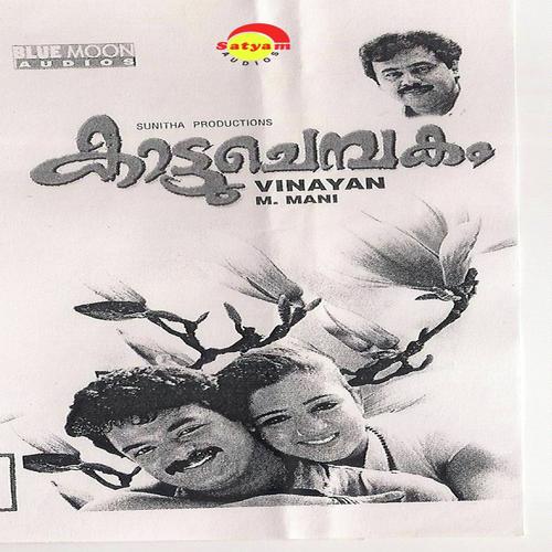 Vellaram kunnu by Parminder Pammi, Ranjana, Ranjana, Balbir Takhi - Download on PagalFree