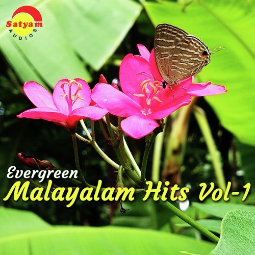 Ambaadi Payyukal by Various Artists - Download on PagalFree