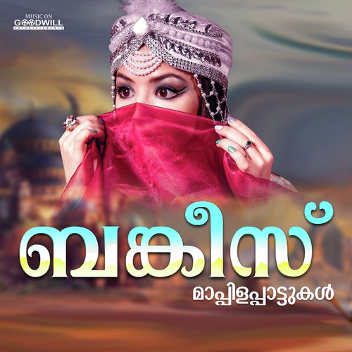 Alamul Hudaa by Haneefa Mudikkode, Muhsin Kurikkal, Cochin Shameer - Download on PagalFree
