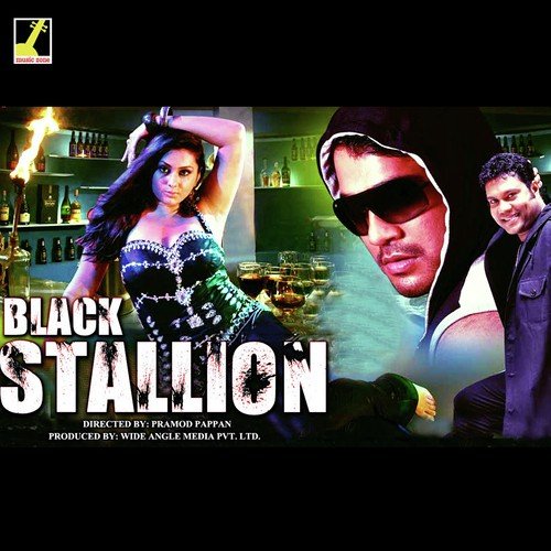 Sexy Lady by Abhishek - Download on PagalFree