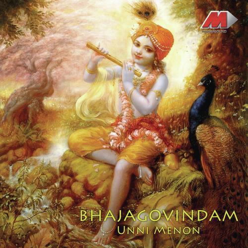 Narayaneeyam by Unni Menon - Download on PagalFree