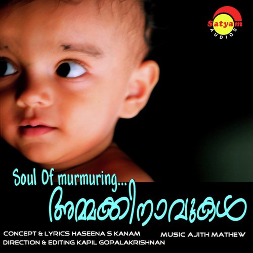 Peelikannum by Ajith Mathew - Download on PagalFree