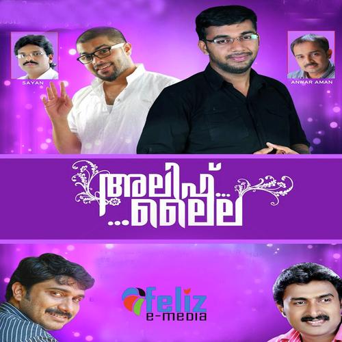 Malabarin by Sadil Ksd, Shafi Kollam, Sadil Ksd, Shameer Thavanoor, Jamsi Tirur, Saleem Kodathoor, Afsal, Kannur  - Download on PagalFree