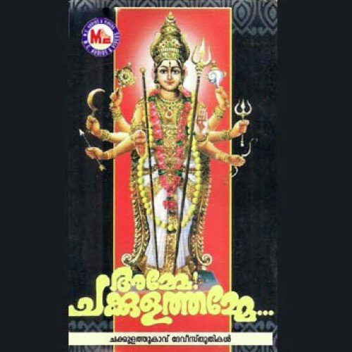 Oum Namo Naarayani by Various Artists - Download on PagalFree