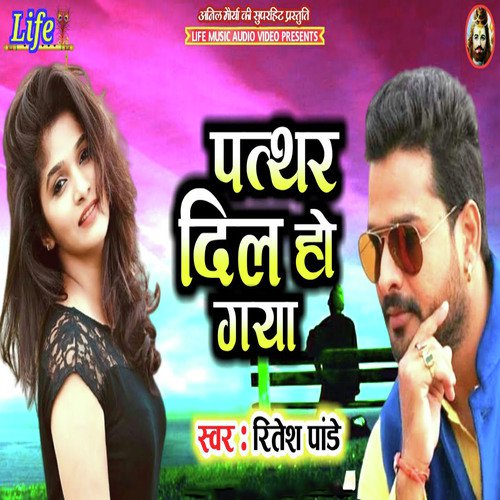 Patthar Dil Ho Gaya by Ritesh Pandey - Download on PagalFree