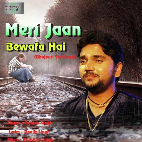 Meri Jaan Bewafa Hai by Gunjan Singh - Download on PagalFree