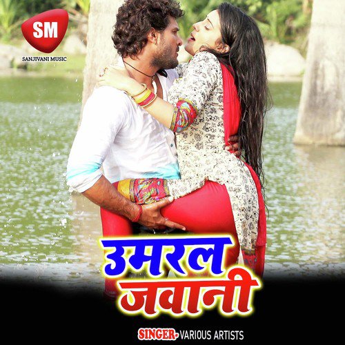 17 Baras Ke Tu Bhailu Sawariya Ho by Various Artists - Download on PagalFree