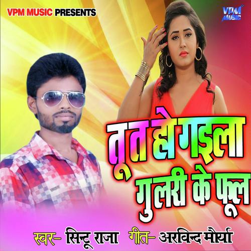 Tu Ta Hogaila Gulari Ke Phool by sintu raja - Download on PagalFree