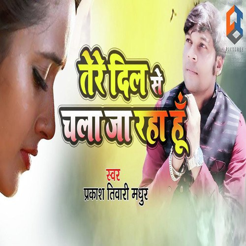 Tere Dil Se Chala Ja Raha Hu by Prakash Tiwari Madhur - Download on PagalFree