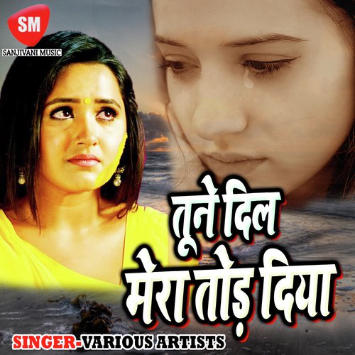 Dil Nahi Lagda Thare Bin by Various Artists - Download on PagalFree