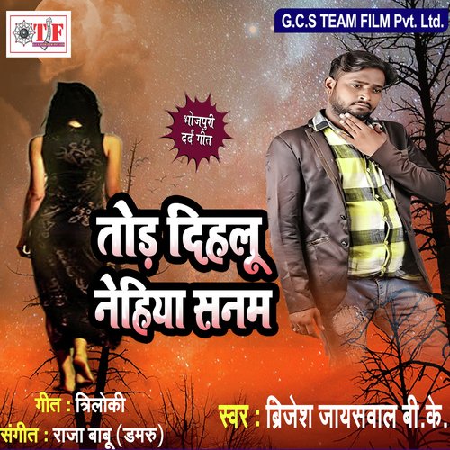 O Pagli Re by Brijesh Jaisawal - Download on PagalFree
