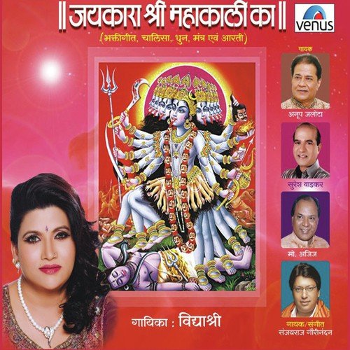 Shri Mahakali Aarti by Bipin Parmar - Download on PagalFree