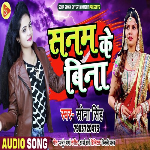 Sanam Ke Bina by Sona Singh - Download on PagalFree