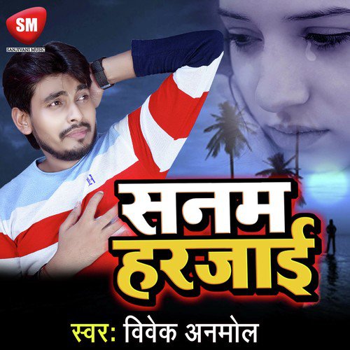Sanam Harjai by Vivek Anmol - Download on PagalFree