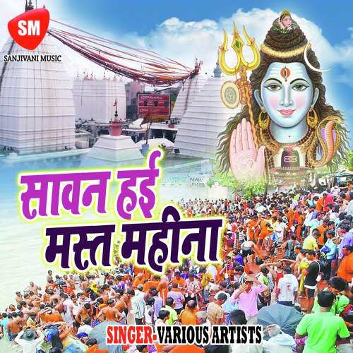 Bhole Baba Ke Diwane Hai Ham by Various Artists - Download on PagalFree