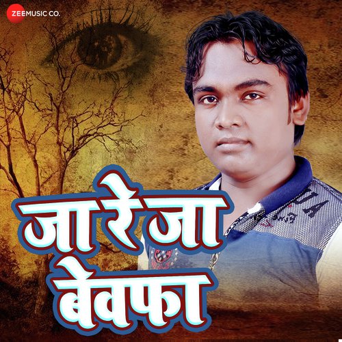 Ja Re Ja Bewafa by Ashish Verma - Download on PagalFree