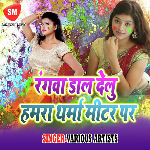 Garmi Ke Mare Raja by Various Artists - Download on PagalFree