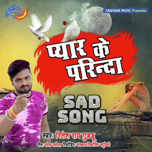 Pyar Ke Pagal by Ritesh Ray Guddu - Download on PagalFree