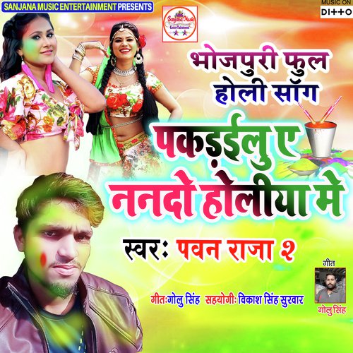 Pakarailu Ye Nando Holiya Me by Adhik Lal Yadav, Pawan Raja 2 - Download on PagalFree