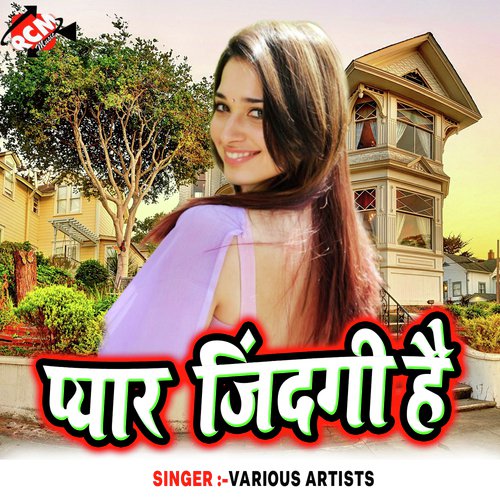 Baru Jila Me Akhi Namuna by Various Artists - Download on PagalFree