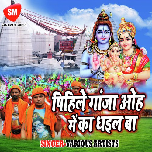 Bhang Kaise Pisi by Various Artists - Download on PagalFree