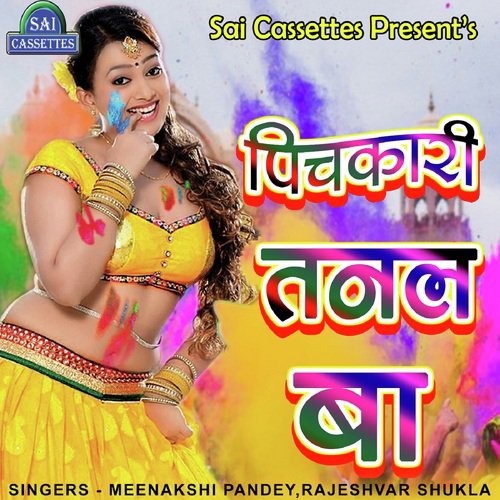 Aail Holi by Meenakshi Pande, Rajeshvar Shukla - Download on PagalFree