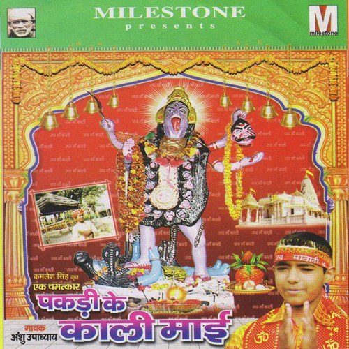 Bada Neek Lagela Havnva by Anshu Upadhyay - Download on PagalFree