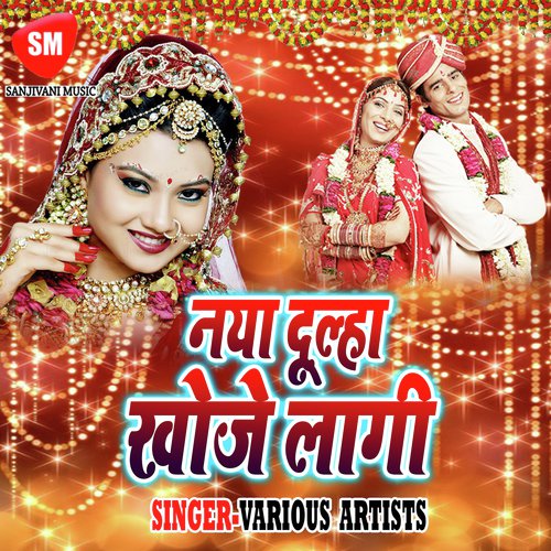 Nik Nahi Lagela Piya Ho by Various Artists - Download on PagalFree