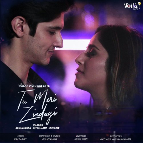 Tu Meri Zindagi by Yasser Desai, Harshit Saxena - Download on PagalFree