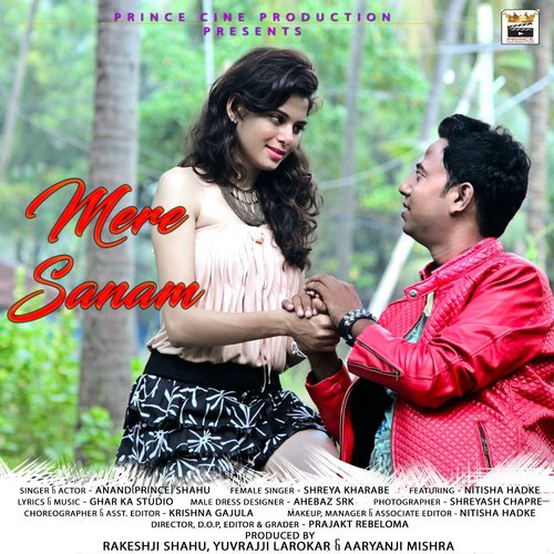Mere Sanam by Anand Shahu - Download on PagalFree