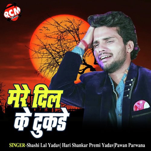 Nahi Dukhai Tohar by Shashi Lal Yadav, Hari Shankar Premi Yadav, Pawan Parwana - Download on PagalFree
