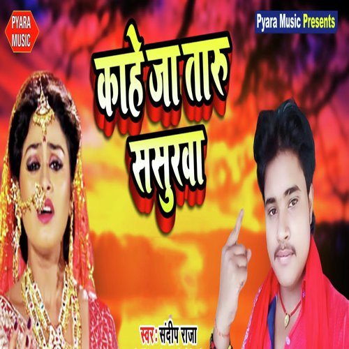 Kahe Ja Taru Sasurawa by Basant Diwana - Download on PagalFree